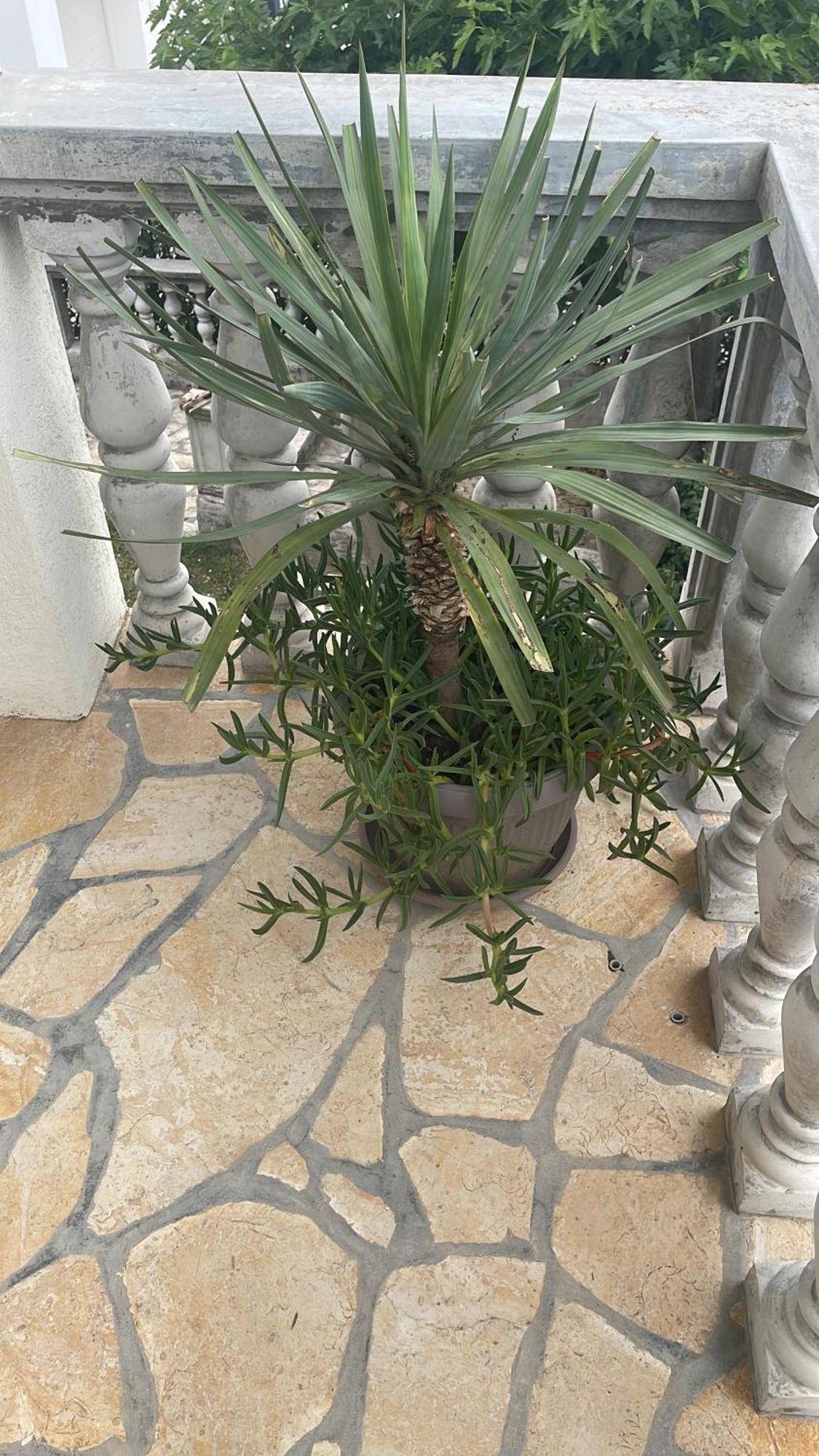 Holiday Home 1 بيبينيا المظهر الخارجي الصورة